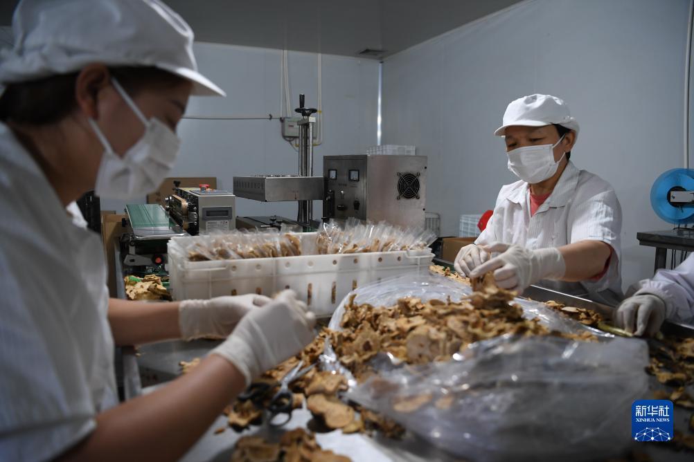 沙巴在线体育网址
